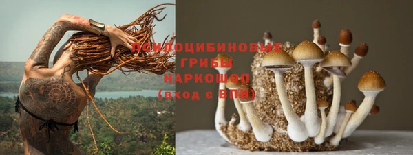 прущая мука Кодинск