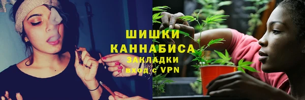 крисы Киренск