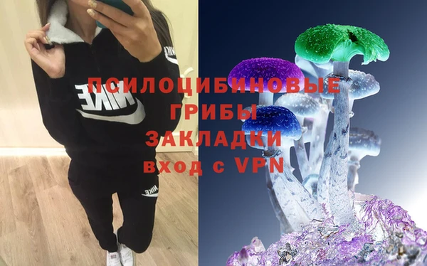 прущая мука Кодинск