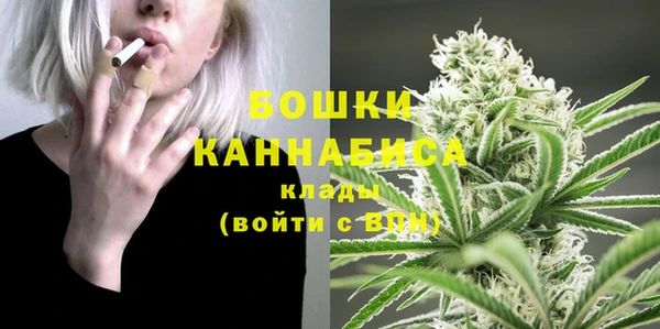 бошки Козельск