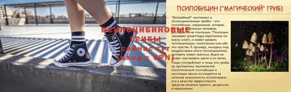 бошки Козельск