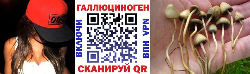 Галлюциногенные грибы Magic Shrooms  сайты даркнета официальный сайт  Луза  как найти  
